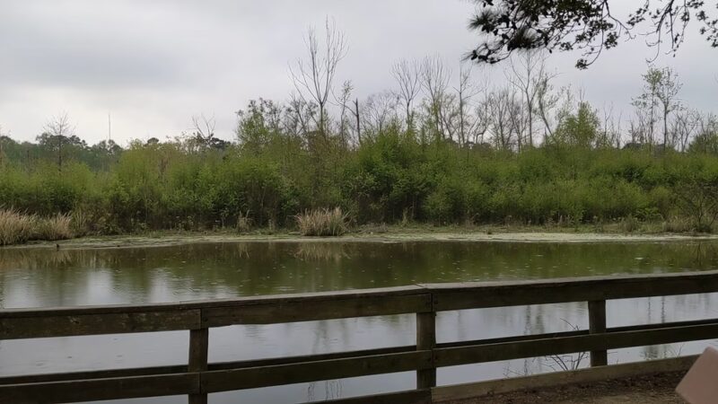 River Grove Park - Kingwood, TX