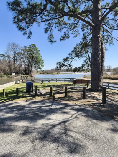 River Grove Park - Kingwood, TX