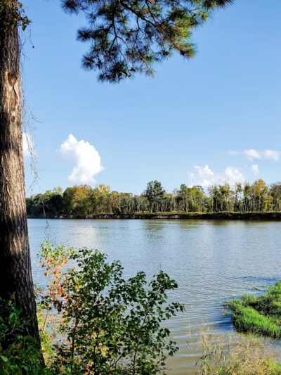 River Grove Park - Kingwood, TX