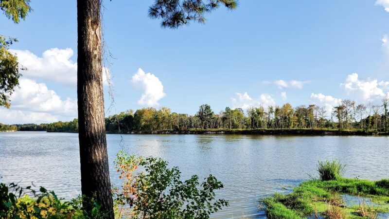 River Grove Park - Kingwood, TX