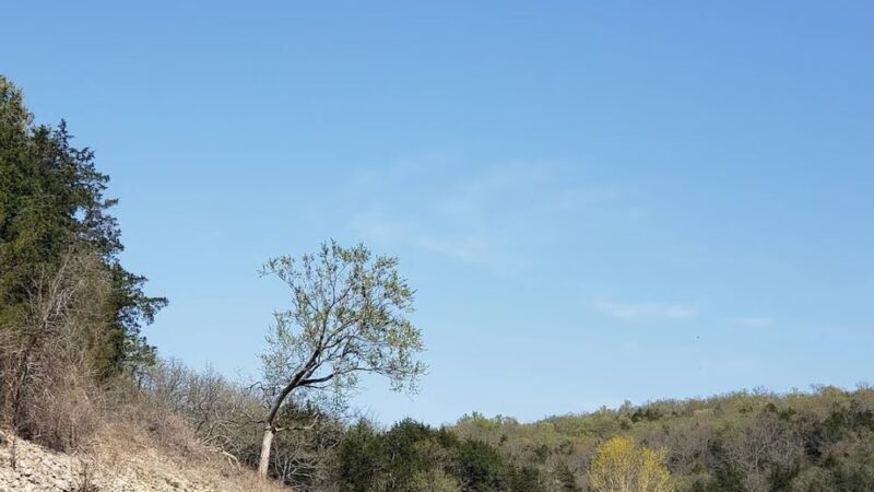 Public Park - Kirbyville, MO