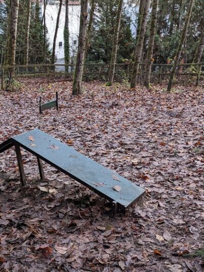 Heronfield Wetlands - Kirkland, WA