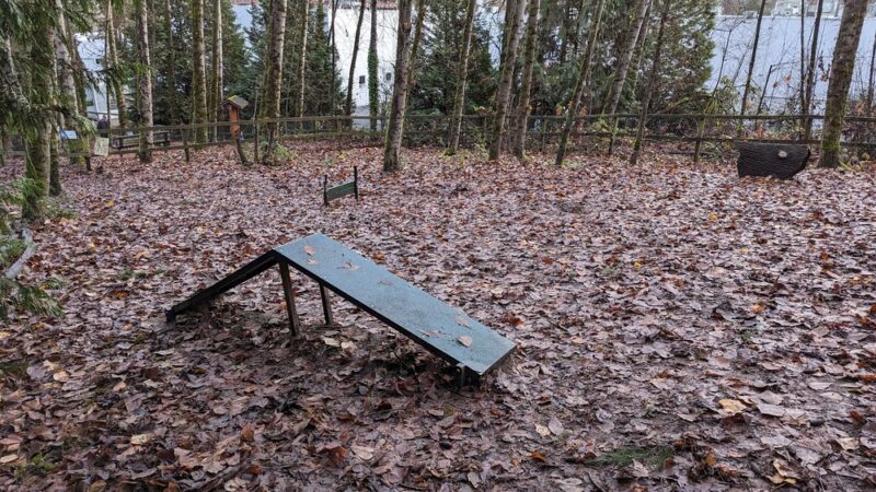 Heronfield Wetlands - Kirkland, WA