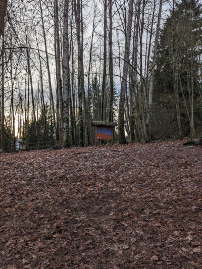 Heronfield Wetlands - Kirkland, WA
