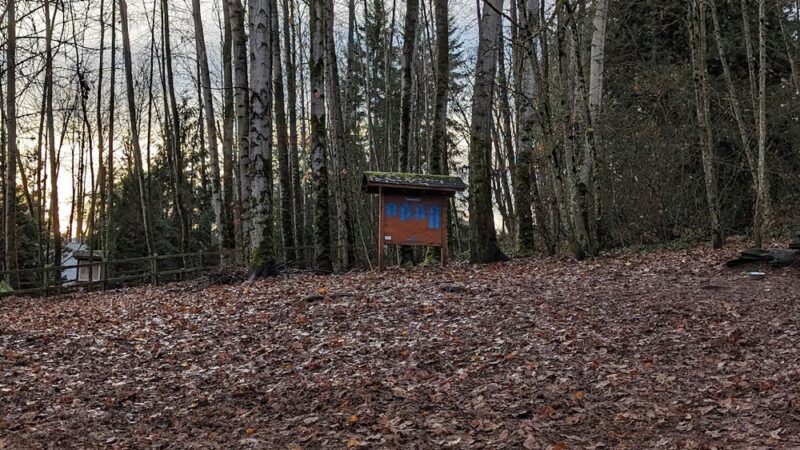 Heronfield Wetlands - Kirkland, WA