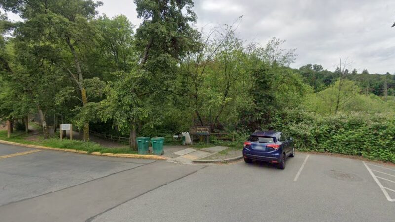 Heronfield Wetlands - Kirkland, WA