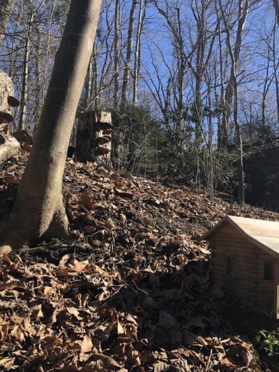 Gnome Countryside - Kirkwood, PA