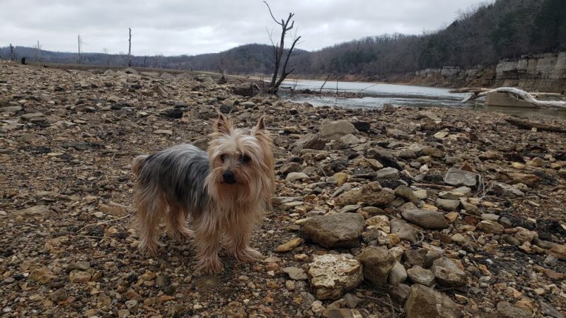Kissee Mills Park - Kissee Mills, MO