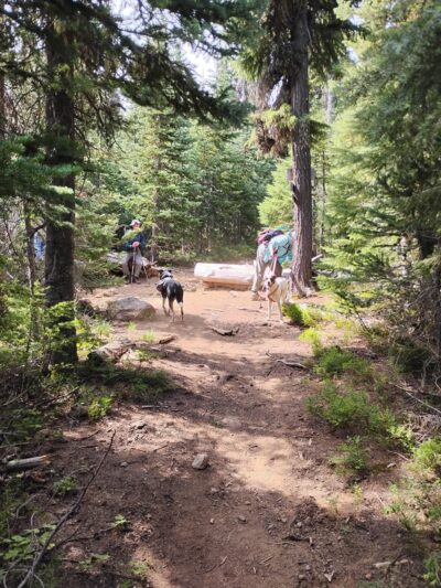 Sevenmile Marsh Trailhead - Klamath Falls, OR