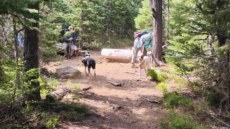 Sevenmile Marsh Trailhead - Klamath Falls, OR