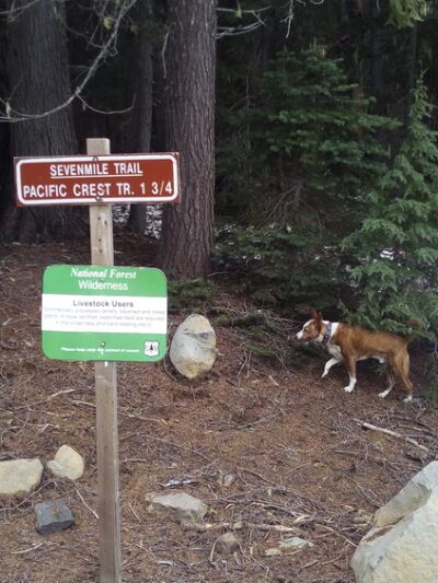 Sevenmile Marsh Trailhead - Klamath Falls, OR