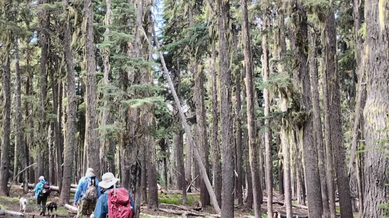 Sevenmile Marsh Trailhead - Klamath Falls, OR