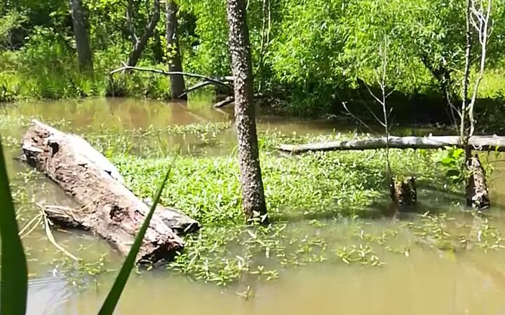 Knob Noster State Park - Knob Noster, MO
