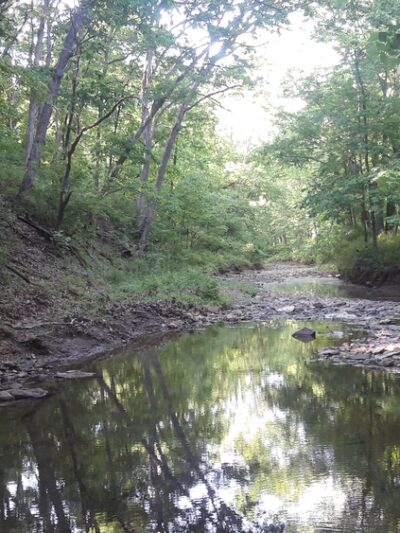 Knob Noster State Park - Knob Noster, MO