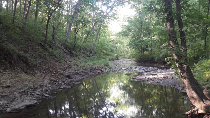 Knob Noster State Park - Knob Noster, MO