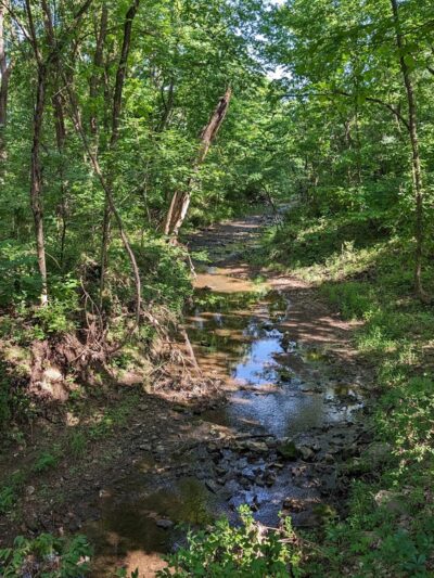 Knob Noster State Park - Knob Noster, MO