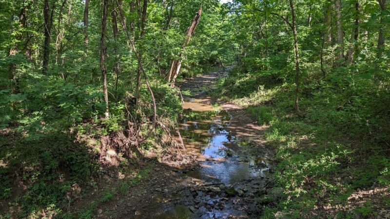 Knob Noster State Park - Knob Noster, MO