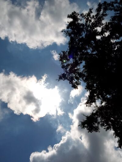 Beth Ann Booker Park - Knoxville, TN