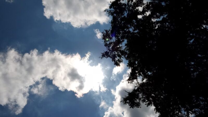Beth Ann Booker Park - Knoxville, TN