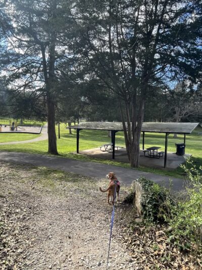 Charter E. Doyle Park - Knoxville, TN