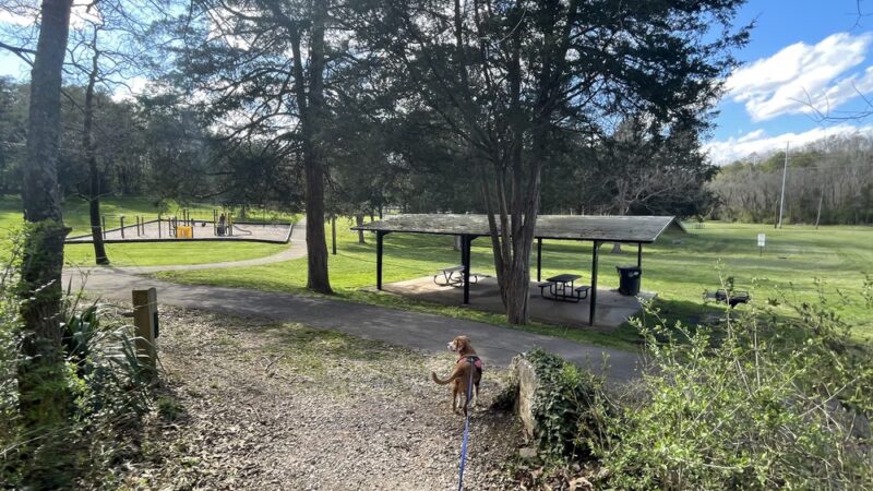 Charter E. Doyle Park - Knoxville, TN