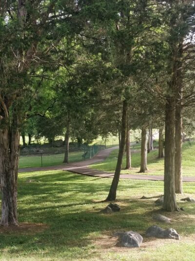 Charter E. Doyle Park - Knoxville, TN