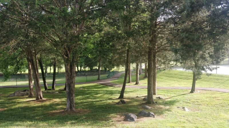Charter E. Doyle Park - Knoxville, TN