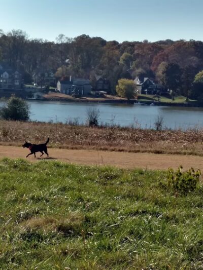 Cherokee Farm Park/Greenway - Knoxville, TN
