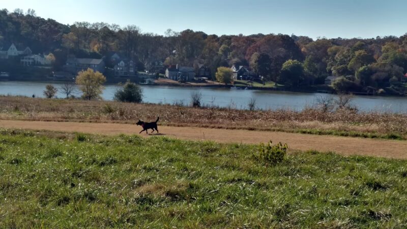 Cherokee Farm Park/Greenway - Knoxville, TN