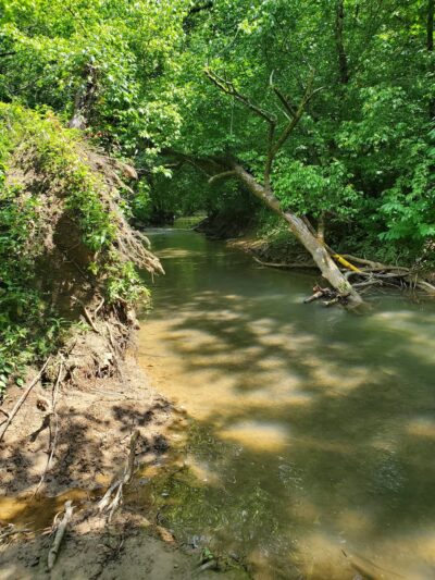Clayton Park - Knoxville, TN