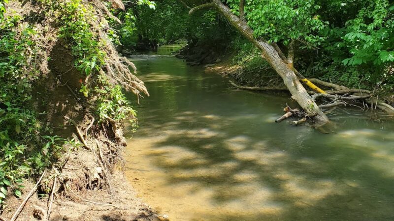 Clayton Park - Knoxville, TN