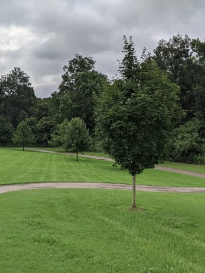 Clayton Park - Knoxville, TN