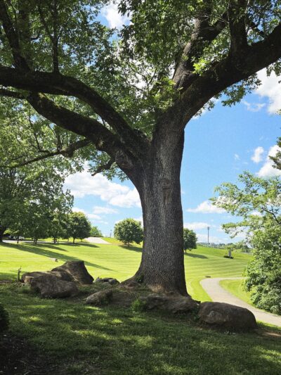 Clayton Park - Knoxville, TN
