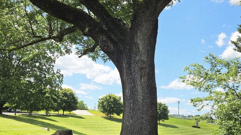 Clayton Park - Knoxville, TN