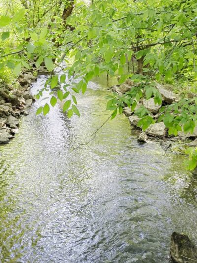 Halls Greenway Park - Knoxville, TN