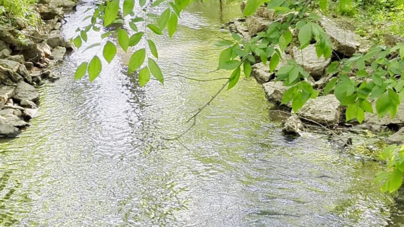 Halls Greenway Park - Knoxville, TN