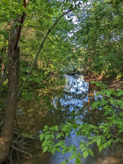 Halls Greenway Park - Knoxville, TN