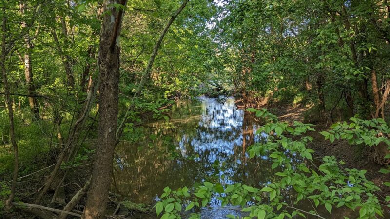 Halls Greenway Park - Knoxville, TN