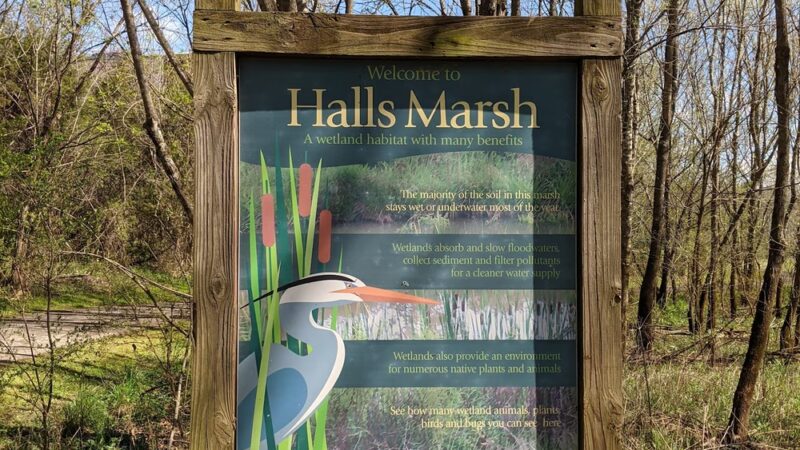 Halls Greenway Park - Knoxville, TN