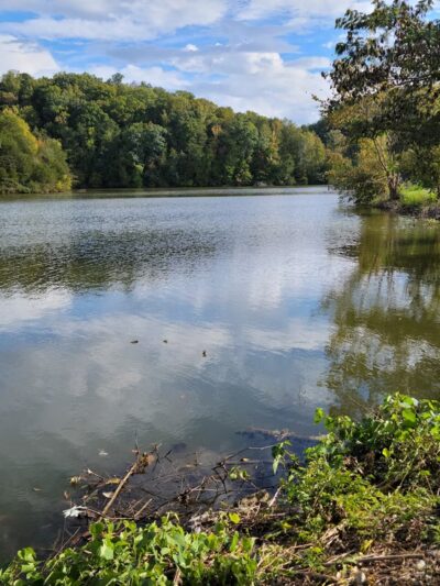 I.C. King Park - Knoxville, TN
