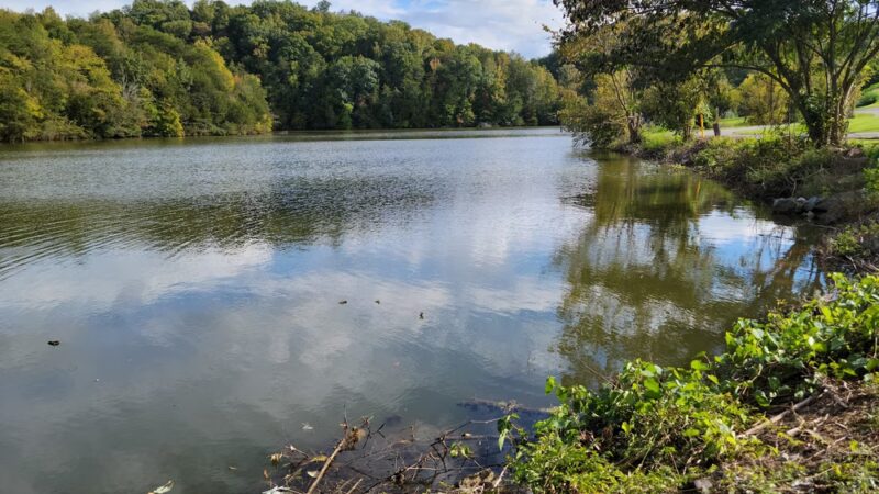 I.C. King Park - Knoxville, TN