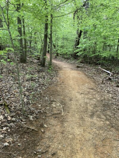 I.C. King Park - Knoxville, TN
