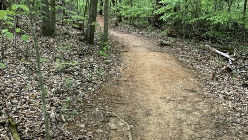 I.C. King Park - Knoxville, TN