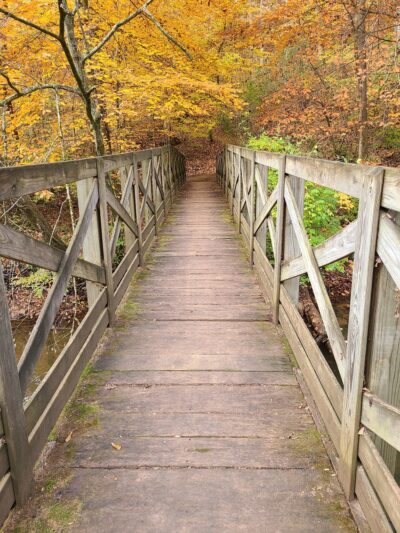 I.C. King Park - Knoxville, TN