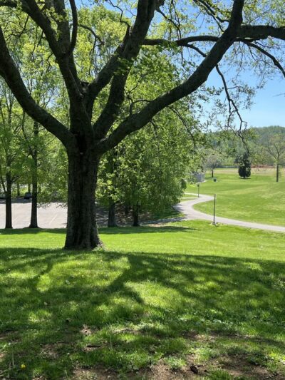 Lakeshore Loop - Knoxville, TN