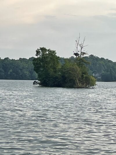 Maloney Road Park - Knoxville, TN