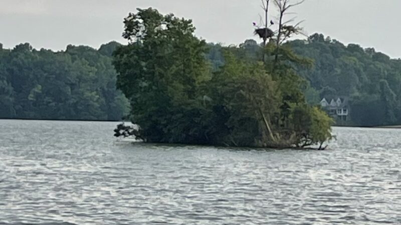 Maloney Road Park - Knoxville, TN