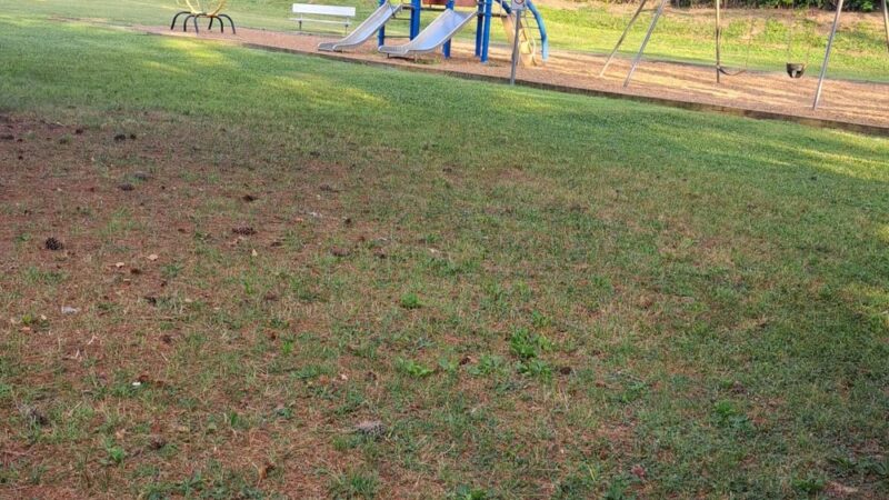 Sam Duff Memorial Park - Knoxville, TN