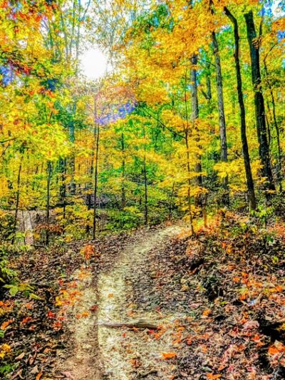 Sharp's Ridge Veterans Memorial Park - Knoxville, TN