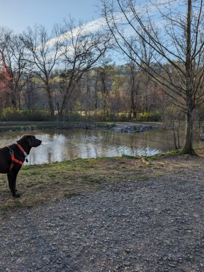 Tommy Schumpert Park - Knoxville, TN